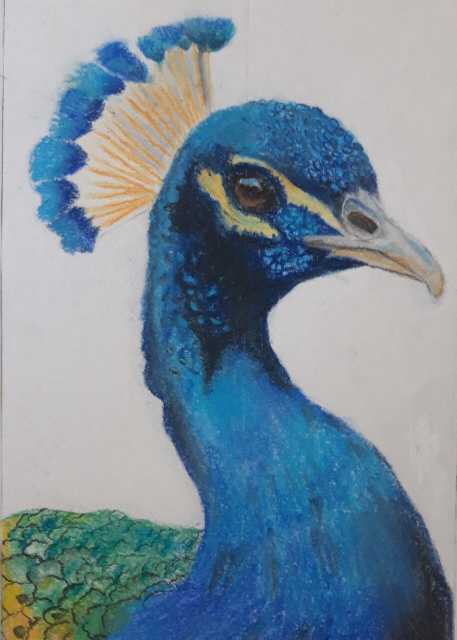 Haladó rajztábor gyerekeknek 2025.10.27-31.